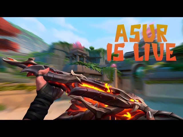 🔴 Chill Compi Today