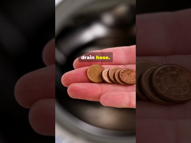 Samsung Washer Not Spinning? Don’t Call a Tech Yet!  #zapfixers #appliancerepair