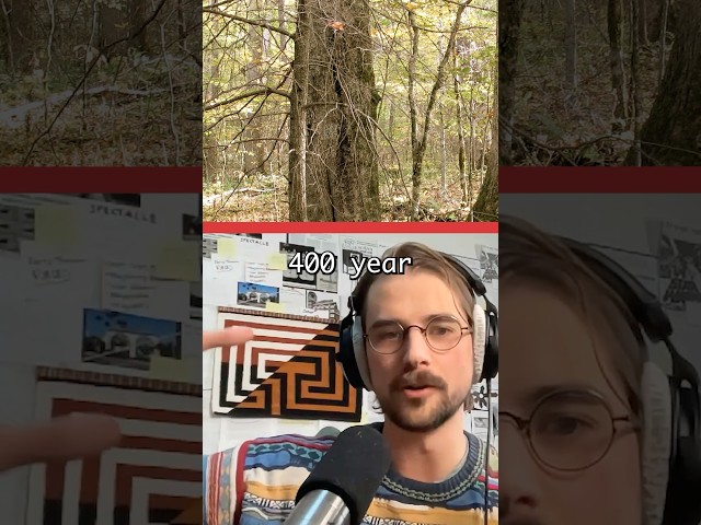 coolest tree you’ve seen?