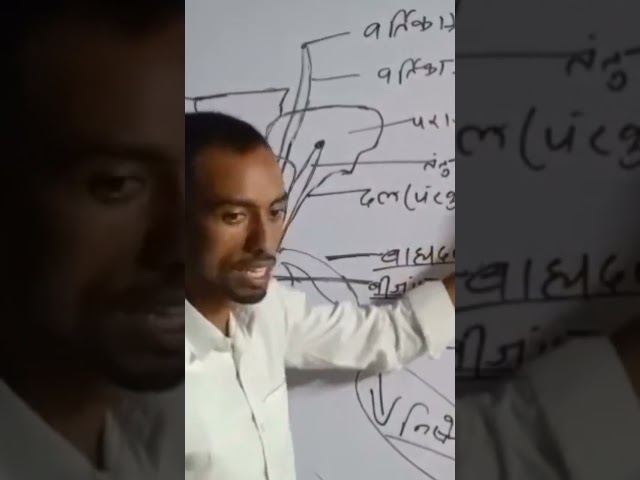 #hindisong