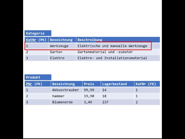 INSERT INTO inserts data records | SQL explained simply