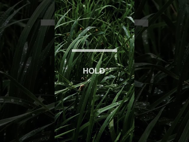 Box Breathing Exercise 🌿 | Mindspo