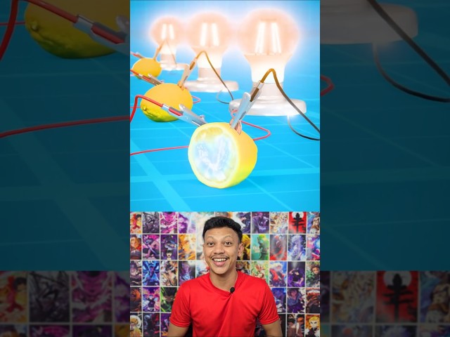 How A Lemon Battery Works ๐ค