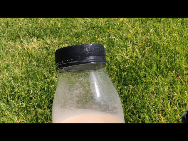 Best drink ever