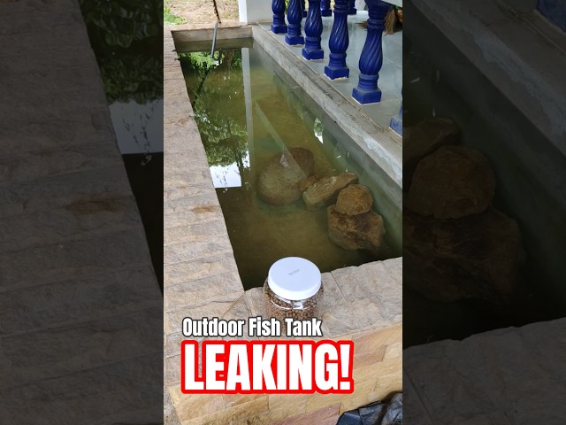 My Outdoor Fish Tank is LEAKING!