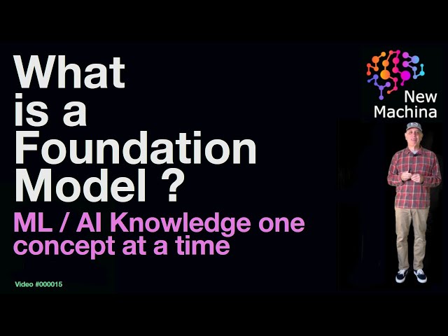 What is a Foundation Model ?