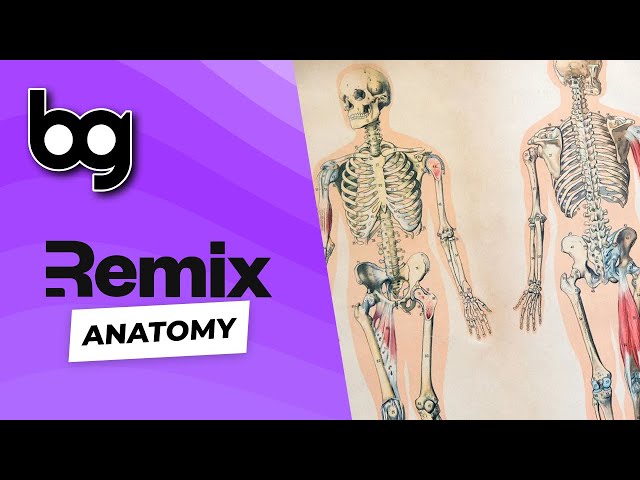 💿 remix anatomy