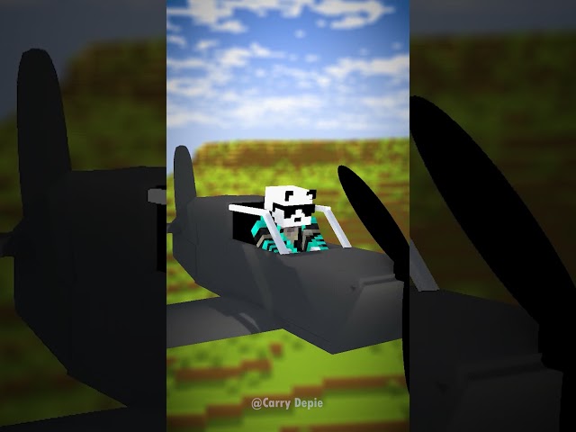 Who has Best Plane.. #minecraftshorts  #minecraft