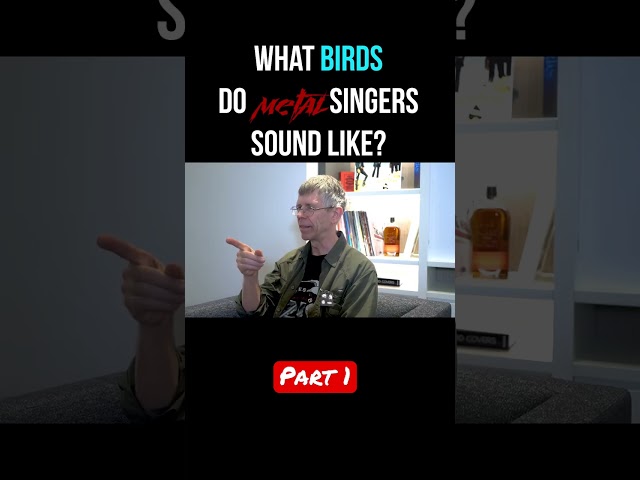 What birds do metal singers sound like? Part 1