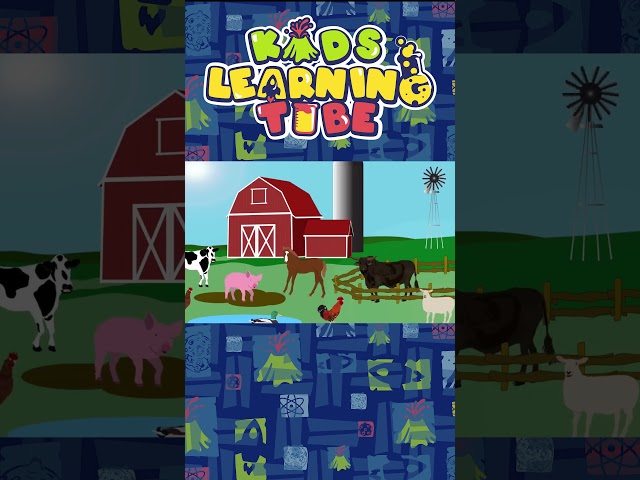 Learn About Sheep and Chicken Sounds! | KLT