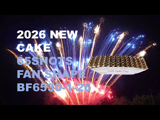 2026 NEW BF6530-1-26 30*36*225MM 65SHOTS FAN SHAPE DISPLAY CAKE