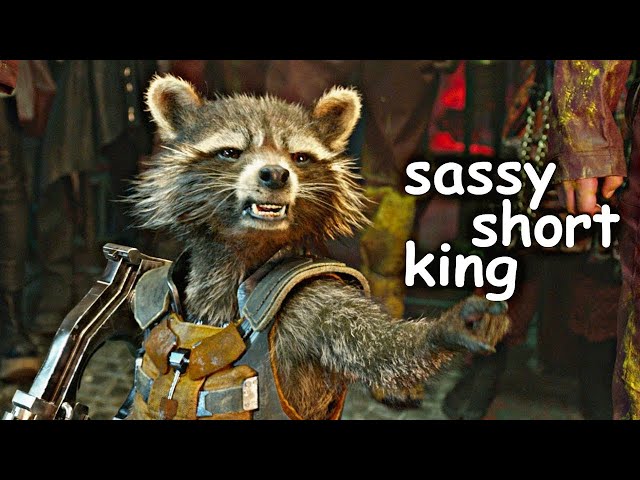 rocket being our favourite sassy short king for about