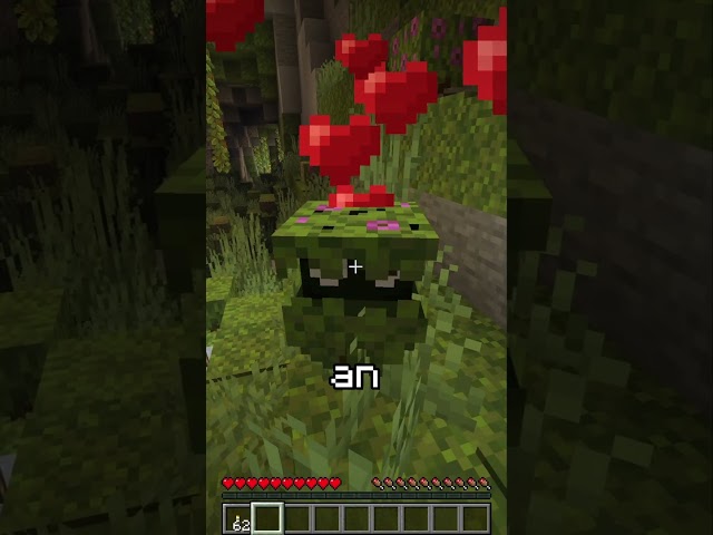 What if Mojang Added ALL the mobs