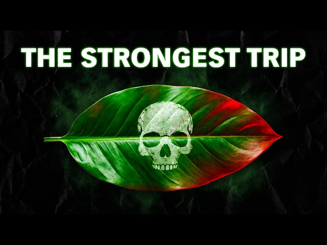 The Strangest Drug Ever Studied