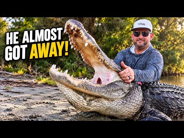 Catching A BIG ALLIGATOR On PUBLIC LAND In Florida 