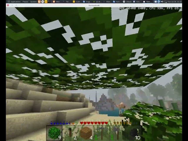 Survivalcraft 1.29 (2015) gameplay
