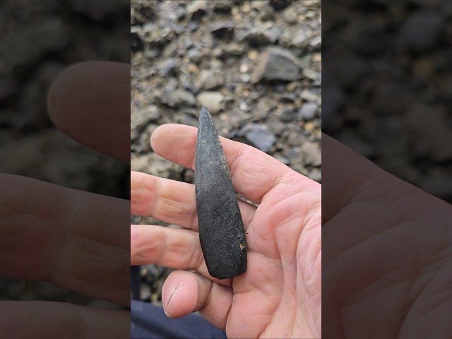 Beachcomber Finds 4,000 Year Old Spear