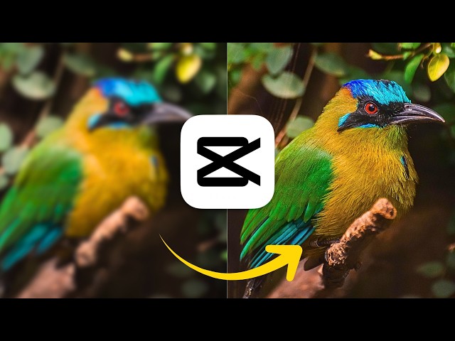 CapCut Blurry Video? Disable This One Setting for 4K Quality