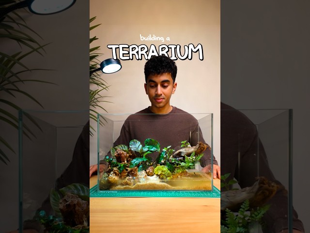 Building a Terrarium @GoogleChrome