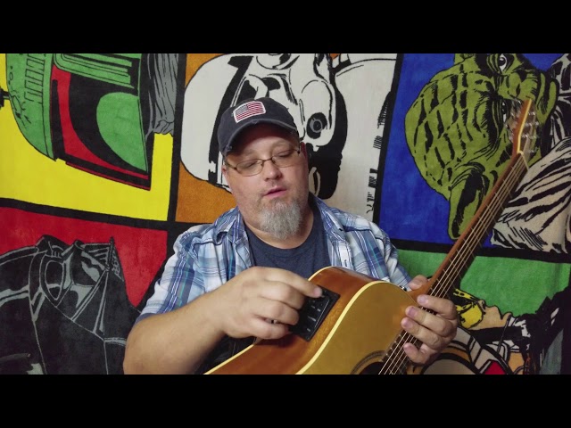 China Fishman Presys 301 Demo