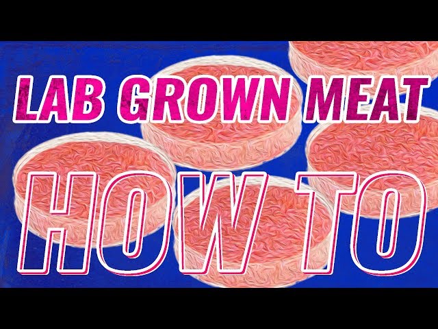How to make LAB GROWN MEAT - Synthetic Meat Production