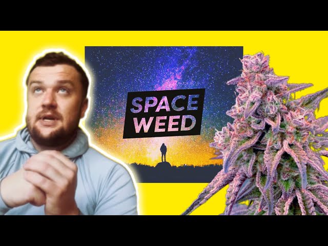 Rise of the Space Weed Brand : LMC Origins (Trailer)