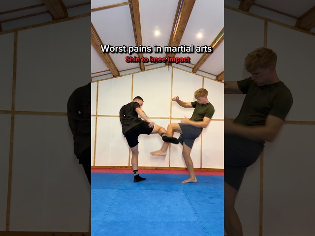 Worst pains in martial artsā¦