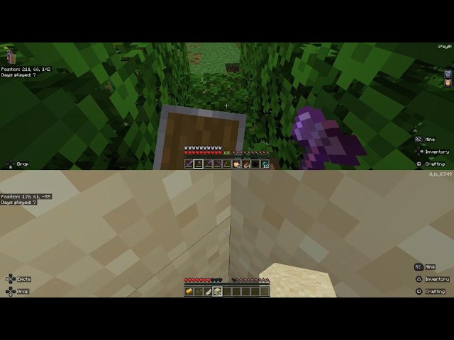 Playing Minecraft