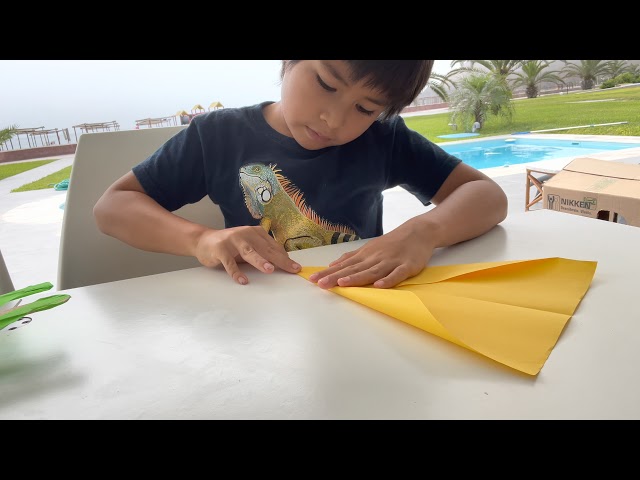 Jet de combate