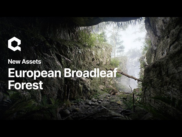 European Broadleaf Forest by Quixel Megascans