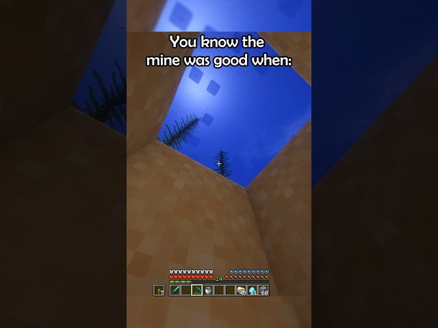 The mine was good when: ⛈️🔥#tweening #minecraftmemes