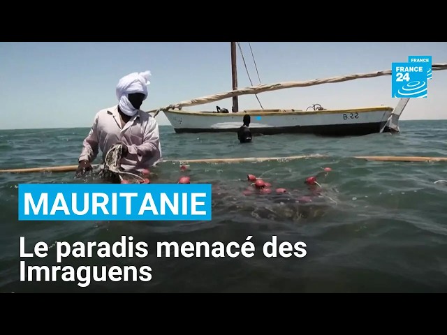 Mauritanie : le paradis menacé d’une communauté de pêcheurs • FRANCE 24