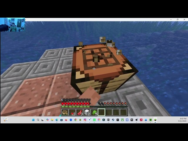 Minecraft Survival Series Java Edition: Episode 1: The adventure has begun