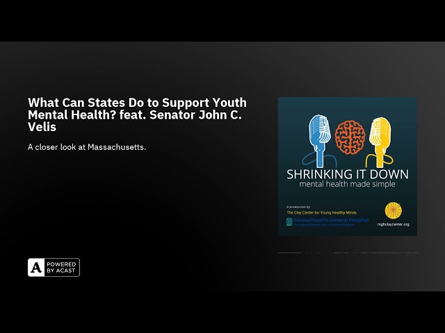 What Can States Do to Support Youth Mental Health? feat. Senator John C. Velis