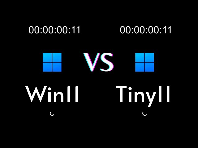 Windows 11 vs Tiny 11 Speed Test (Which is Best?) | 2025