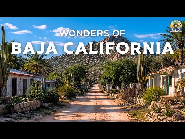 Wonders of BAJA CALIFORNIA | Where the Desert MEETS the Sea | Video de Viajes 4K