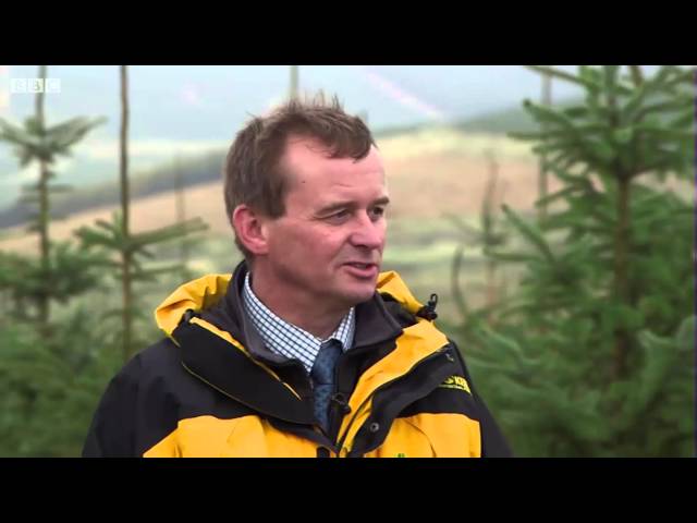 Sustainable Forestry in the UK
