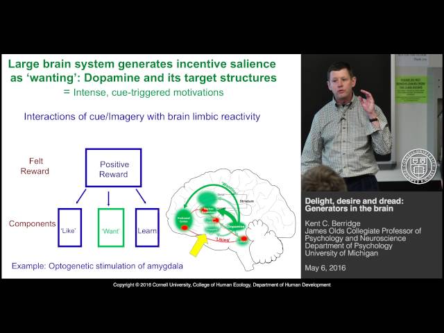 Kent Berridge - Delight, Desire, and Dread: Generators in the Brain