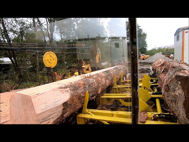 sawing 2x12 's