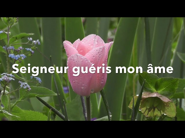 Arrose mon coeur - Yéshoua Revient (Album Live)