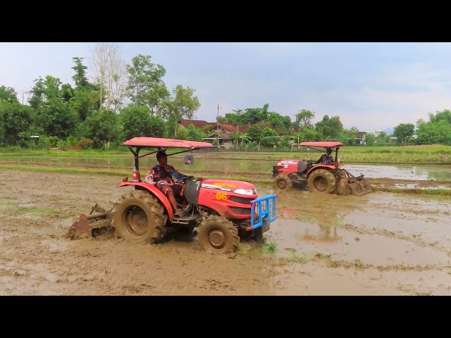DUO TRAKTOR SAWAH YANMAR EF393T MEMBAJAK LAHAN PAK EKO