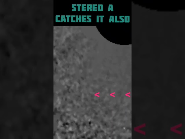 SUNDIVING COMET SEEN RACING TOWARD SUN FROM TWO SATELITES