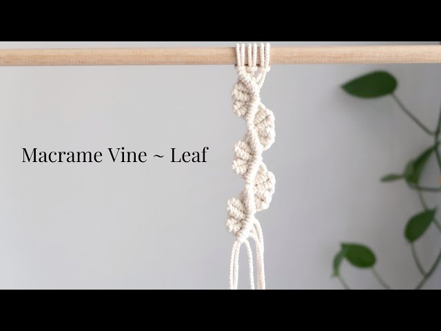 DIY: Macrame Vine | Macrame Leaf ~ Petal Pattern 1