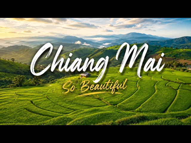Chiang Mai So Beautiful | A Relaxing English/Thai Chill Song 🇹🇭