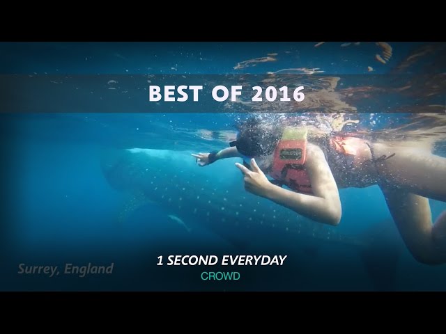 BEST OF 2016! - 1 Second Everyday Crowd