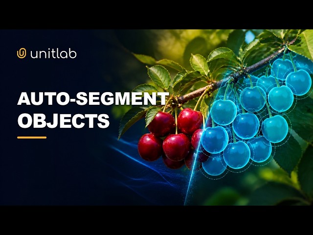 Video Annotation & Auto-Segmentation - Quick Demo | Unitlab