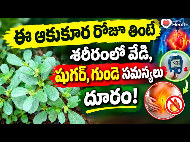 ఈ ఆకుకూర రోజూ తింటే శరీరంలో వేడి, షుగర్, గుండె సమస్యలు దూరం! | Dr. Satya Unani | TeluguOneHealth
