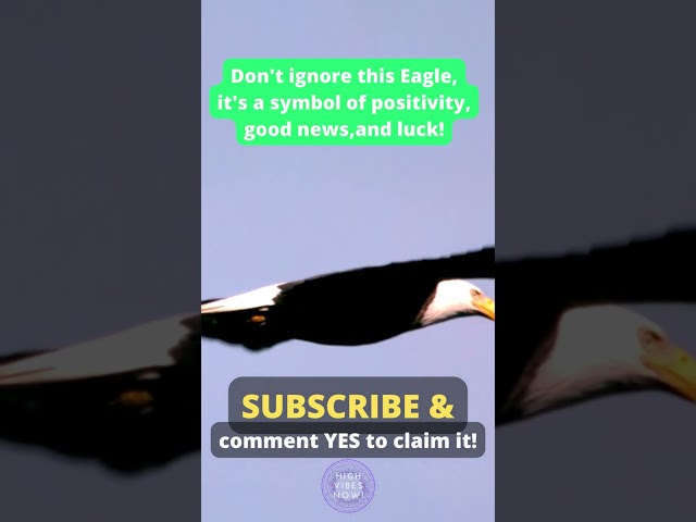 Don't Ignore This EAGLE, It's a Symbol of Positivity, Good News, & Luck #positiveaffirmations