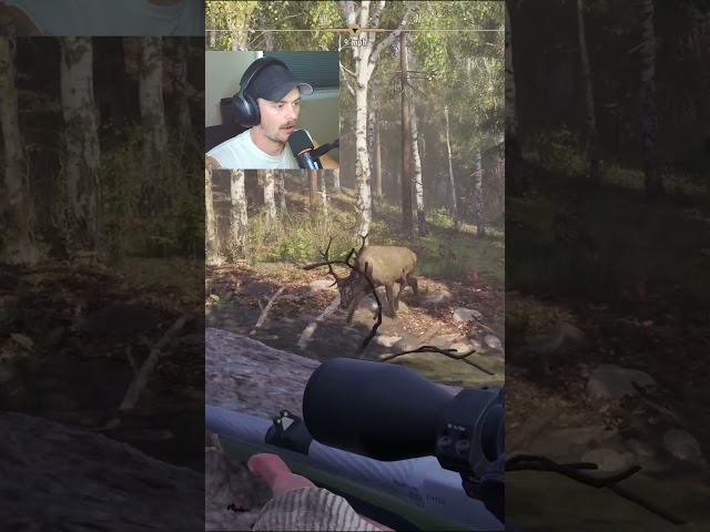 I Can't Believe This Elk Died Right Beside Me! #wayofthehunter2