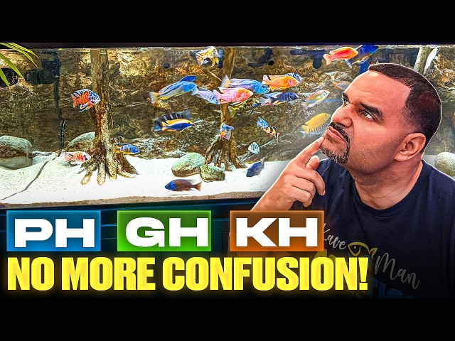 Your Fish Are Unhappy Because of This One Thing